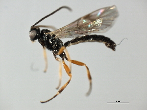  ( - 07PROBE-23941)  @12 [ ] CreativeCommons - Attribution (2010) CBG Photography Group Centre for Biodiversity Genomics