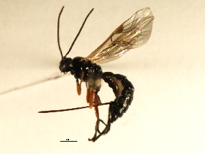  ( - 07PROBE-22290)  @12 [ ] CreativeCommons - Attribution (2009) CBG Photography Group Centre for Biodiversity Genomics