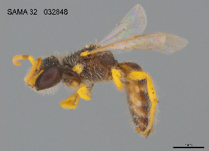  ( - CCDB-03790-F5)  @11 [ ] CreativeCommons Attribution NonCommercial ShareAlike (2025) Remko Leijs South Australian Museum