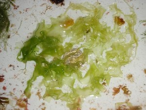  ( - GWS022744)  @11 [ ] Unspecified (default): All Rights Reserved  Unspecified Unspecified