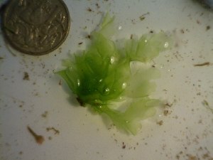  ( - GWS023094)  @11 [ ] Unspecified (default): All Rights Reserved  Unspecified Unspecified