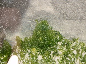  ( - GWS024562)  @11 [ ] Unspecified (default): All Rights Reserved  Unspecified Unspecified