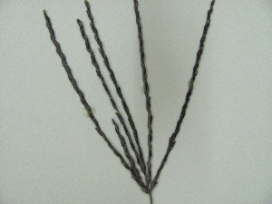  ( - iB78)  @11 [ ] Unspecified (default): All Rights Reserved  Unspecified Unspecified