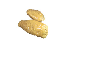  ( - Abo_CNI4894_18F1)  @11 [ ] Unspecified (default): All Rights Reserved (2024) Invemar Invemar-BEM