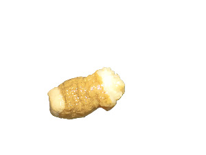  ( - Abo_CNI4883_28F2)  @11 [ ] Unspecified (default): All Rights Reserved (2024) Invemar Invemar-BEM