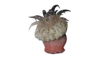  ( - ATF_CNI4709_28F3)  @11 [ ] Unspecified (default): All Rights Reserved (2024) Invemar Invemar-BEM