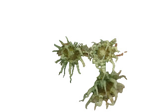  ( - COL_24_22_28F5)  @11 [ ] Unspecified (default): All Rights Reserved (2024) Invemar Invemar-BEM