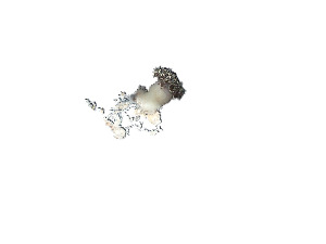  ( - BLL_CNI4729)  @11 [ ] Unspecified (default): All Rights Reserved (2024) Invemar Invemar-BEM
