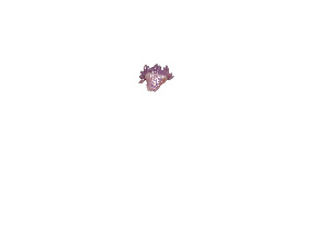  ( - Ino_CNI4881)  @11 [ ] Unspecified (default): All Rights Reserved (2024) Invemar Invemar-BEM