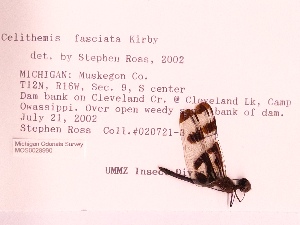  ( - UMMZI-MOS0028990)  @11 [ ] c (2021) Jose Andres Cornell Univeristy- Department of Ecology and Evolutionary Biology