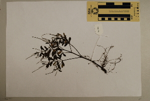  ( - CNS_CC_M_D10)  @11 [ ] Unspecified (default): All Rights Reserved  Unspecified Unspecified