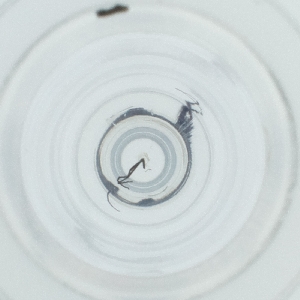  ( - BAYS_001_E5)  @11 [ ] by  Genome Research Ltd as Wellcome Sanger Institute Genome Research Limited operating as Wellcome Sanger Institute