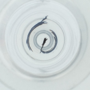  ( - BAYS_002_A11)  @11 [ ] by  Genome Research Ltd as Wellcome Sanger Institute Genome Research Limited operating as Wellcome Sanger Institute