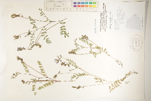  ( - CCDB-25848-F12)  @11 [ ] CreativeCommons - Attribution (2019) CBG Photography Group Centre for Biodiversity Genomics