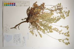  ( - CCDB-25848-H08)  @11 [ ] CreativeCommons - Attribution (2019) CBG Photography Group Centre for Biodiversity Genomics
