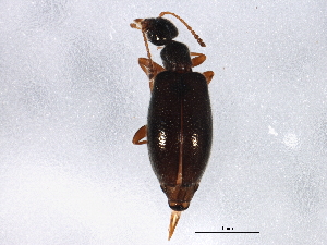  ( - BIOUG01840-G10)  @14 [ ] CreativeCommons - Attribution (2012) CBG Photography Group Centre for Biodiversity Genomics