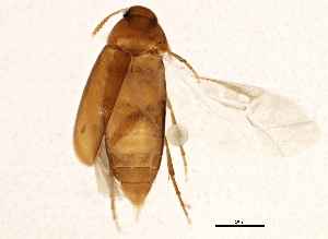  ( - BIOUG02284-H03)  @14 [ ] CreativeCommons - Attribution (2012) CBG Photography Group Centre for Biodiversity Genomics