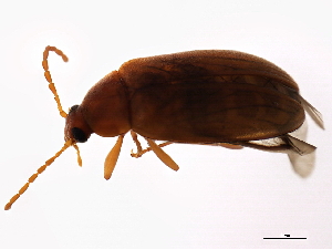  ( - BIOUG00670-C07)  @12 [ ] CreativeCommons - Attribution (2011) CBG Photography Group Centre for Biodiversity Genomics
