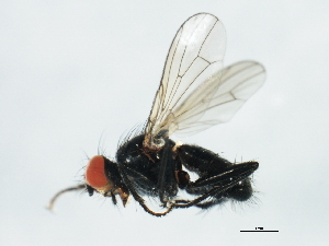  ( - 10BBCDDIP-3202)  @12 [ ] CreativeCommons - Attribution (2011) CBG Photography Group Centre for Biodiversity Genomics