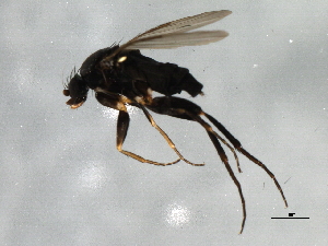  ( - 09BBEDI-1900)  @13 [ ] CreativeCommons - Attribution (2010) CBG Photography Group Centre for Biodiversity Genomics