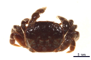  ( - BIOUG14663-B05)  @11 [ ] CreativeCommons - Attribution (2014) CBG Photography Group Centre for Biodiversity Genomics