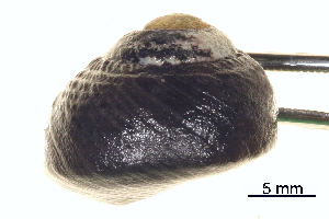  ( - BIOUG14663-F09)  @11 [ ] CreativeCommons - Attribution (2014) CBG Photography Group Centre for Biodiversity Genomics