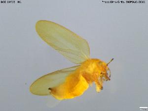  ( - BGE_00705_H01)  @11 [ ] Creative Commons Attribution NonCommercial ShareAlike (2024) (2024) Research Center in Biodiversity and Genetic Resources Research Center in Biodiversity and Genetic Resources