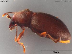  ( - BGE_00577_F02)  @11 [ ] Creative Commons Attribution NonCommercial ShareAlike (2024) (2024) Research Center in Biodiversity and Genetic Resources Research Center in Biodiversity and Genetic Resources