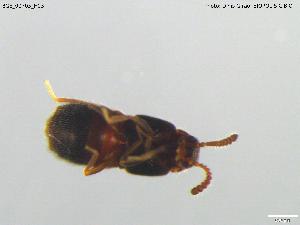  ( - BGE_00705_H03)  @11 [ ] Creative Commons Attribution NonCommercial ShareAlike (2024) (2024) Research Center in Biodiversity and Genetic Resources Research Center in Biodiversity and Genetic Resources