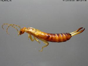  ( - BGE_00592_G12)  @11 [ ] Creative Commons Attribution NonCommercial ShareAlike (2025) (2025) Research Center in Biodiversity and Genetic Resources Research Center in Biodiversity and Genetic Resources