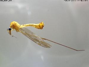  ( - BGE_00107_B08)  @11 [ ] Creative Commons Attribution NonCommercial ShareAlike (2025) (2025) Research Center in Biodiversity and Genetic Resources Research Center in Biodiversity and Genetic Resources