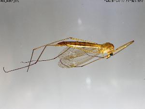  ( - BGE_00107_C01)  @11 [ ] Creative Commons Attribution NonCommercial ShareAlike (2025) (2025) Research Center in Biodiversity and Genetic Resources Research Center in Biodiversity and Genetic Resources