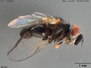  ( - BGE_00598_D04)  @11 [ ] Creative Commons Attribution NonCommercial ShareAlike (2024) (2024) Research Center in Biodiversity and Genetic Resources Research Center in Biodiversity and Genetic Resources