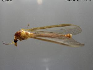  ( - BGE_00598_F09)  @11 [ ] Creative Commons Attribution NonCommercial ShareAlike (2025) (2025) Research Center in Biodiversity and Genetic Resources Research Center in Biodiversity and Genetic Resources