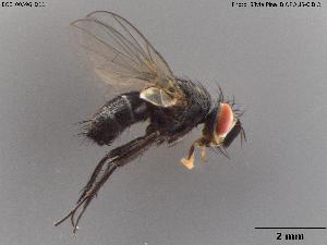  ( - BGE_00596_D11)  @11 [ ] Creative Commons Attribution NonCommercial ShareAlike (2024) (2024) Research Center in Biodiversity and Genetic Resources Research Center in Biodiversity and Genetic Resources