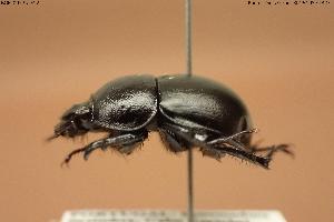  ( - BGE_00575_E12)  @11 [ ] Creative Commons Attribution NonCommercial ShareAlike (2024) (2024) Research Center in Biodiversity and Genetic Resources Research Center in Biodiversity and Genetic Resources