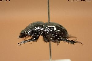  ( - BGE_00575_F02)  @11 [ ] Creative Commons Attribution NonCommercial ShareAlike (2024) (2024) Research Center in Biodiversity and Genetic Resources Research Center in Biodiversity and Genetic Resources