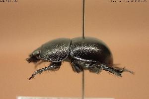  ( - BGE_00575_F08)  @11 [ ] Creative Commons Attribution NonCommercial ShareAlike (2024) (2024) Research Center in Biodiversity and Genetic Resources Research Center in Biodiversity and Genetic Resources