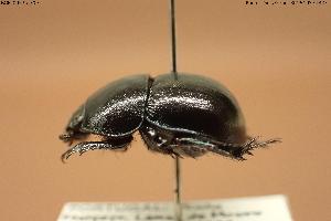  ( - BGE_00575_F09)  @11 [ ] Creative Commons Attribution NonCommercial ShareAlike (2024) (2024) Research Center in Biodiversity and Genetic Resources Research Center in Biodiversity and Genetic Resources