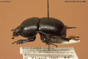  ( - BGE_00706_A10)  @11 [ ] Creative Commons Attribution NonCommercial ShareAlike (2024) (2024) Research Center in Biodiversity and Genetic Resources Research Center in Biodiversity and Genetic Resources