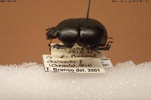  ( - BGE_00706_B01)  @11 [ ] Creative Commons Attribution NonCommercial ShareAlike (2024) (2024) Research Center in Biodiversity and Genetic Resources Research Center in Biodiversity and Genetic Resources