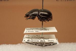  ( - BGE_00706_B05)  @11 [ ] Creative Commons Attribution NonCommercial ShareAlike (2024) (2024) Research Center in Biodiversity and Genetic Resources Research Center in Biodiversity and Genetic Resources