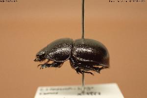  ( - BGE_00706_B05)  @11 [ ] Creative Commons Attribution NonCommercial ShareAlike (2024) (2024) Research Center in Biodiversity and Genetic Resources Research Center in Biodiversity and Genetic Resources