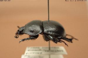  ( - BGE_00706_B06)  @11 [ ] Creative Commons Attribution NonCommercial ShareAlike (2024) (2024) Research Center in Biodiversity and Genetic Resources Research Center in Biodiversity and Genetic Resources