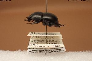  ( - BGE_00706_B10)  @11 [ ] Creative Commons Attribution NonCommercial ShareAlike (2024) (2024) Research Center in Biodiversity and Genetic Resources Research Center in Biodiversity and Genetic Resources