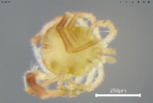  ( - BGE_00580_H11)  @11 [ ] Creative Commons Attribution NonCommercial ShareAlike (2023) (2024) Research Center in Biodiversity and Genetic Resources Research Center in Biodiversity and Genetic Resources