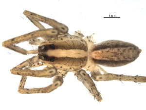  ( - CCDB-08489-D05)  @12 [ ] Copyright  G. Blagoev 2010 Unspecified