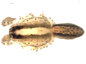  ( - CCDB-08489-D06)  @12 [ ] Copyright  G. Blagoev 2010 Unspecified