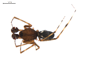  ( - BIOUG01967-F10)  @12 [ ] Copyright  G. Blagoev 2012 Unspecified