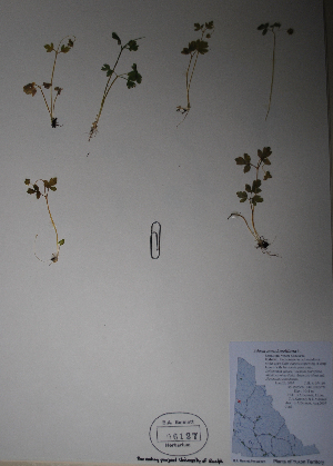  ( - BAB-6127)  @11 [ ] Unspecified (default): All Rights Reserved  Unspecified Unspecified